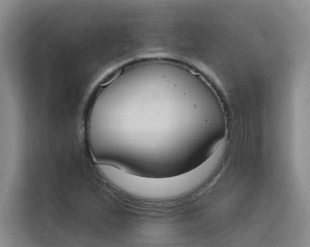 X0000113281167200910051034