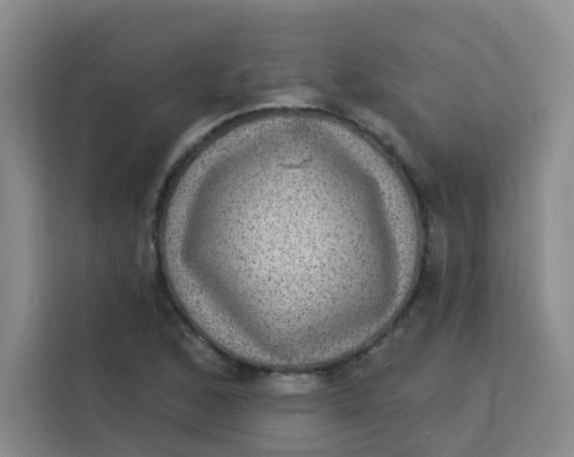 X0000113281168200910051034