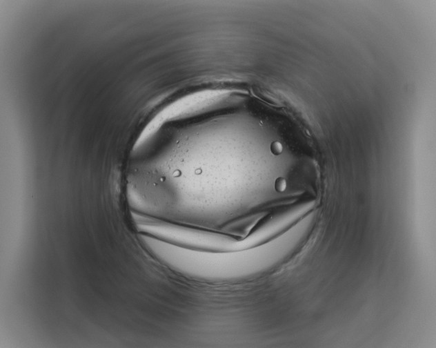 X0000113281169200910051034