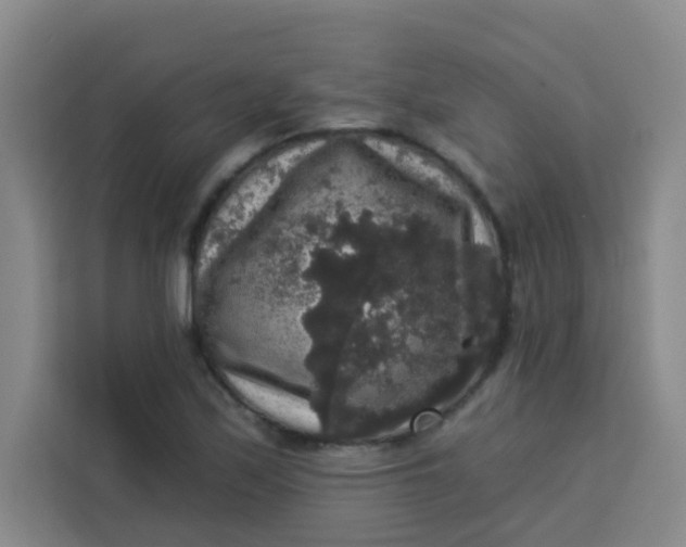 X0000113281171200910051034