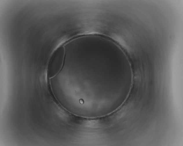 X0000113281173200910051034