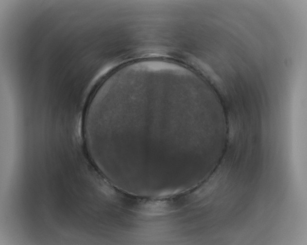 X0000113281174200910051034