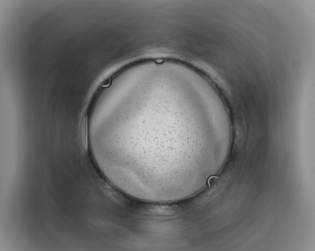 X0000113281175200910051034