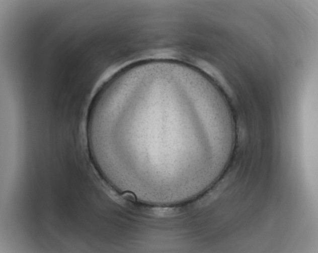 X0000113281176200910051034