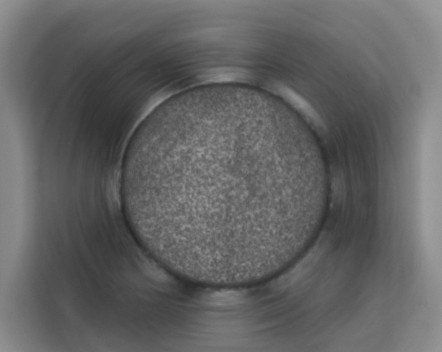 X0000113281178200910051034