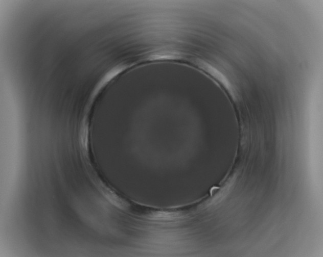 X0000113281179200910051034