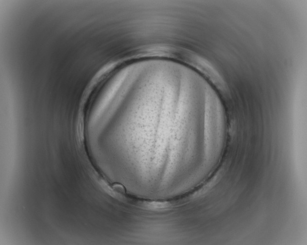 X0000113281180200910051034