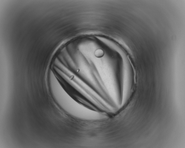 X0000113281181200910051034