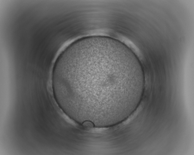 X0000113281184200910051034