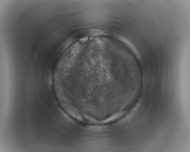 X0000113281185200910051034