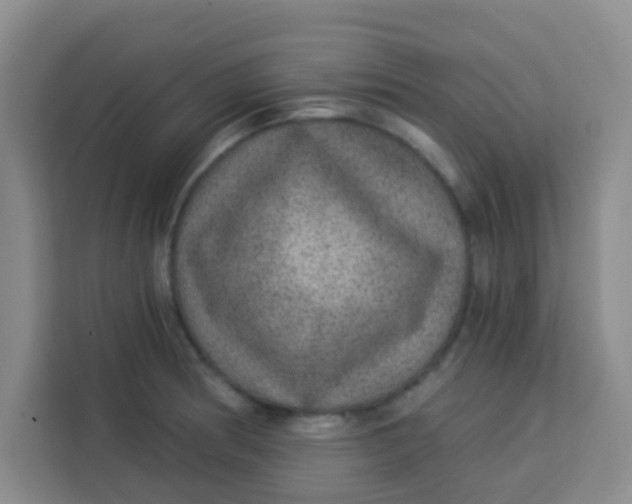 X0000113281186200910051034