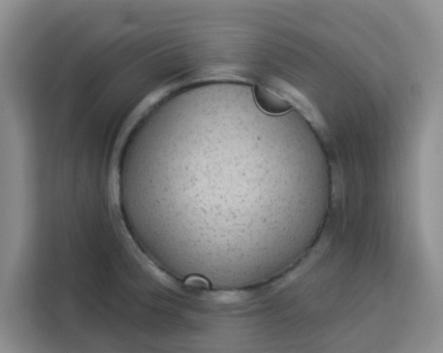 X0000113281188200910051034