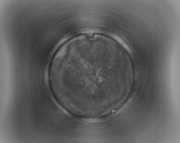 X0000113281189200910051034