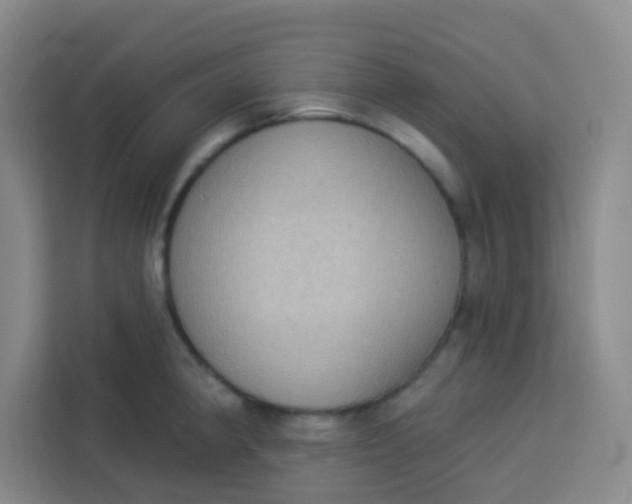 X0000113281190200910051034