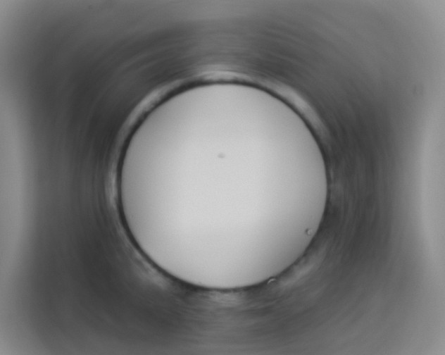 X0000113281191200910051034