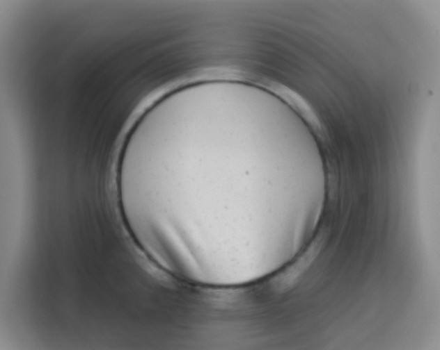 X0000113281192200910051034