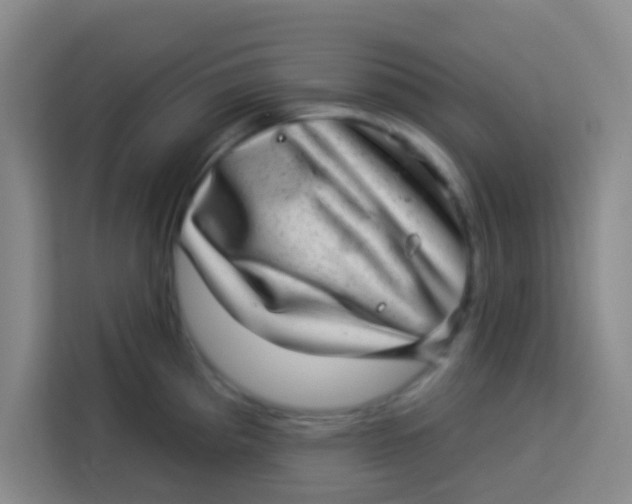 X0000113281193200910051034