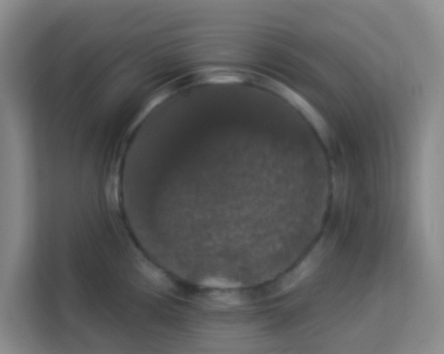 X0000113281194200910051034