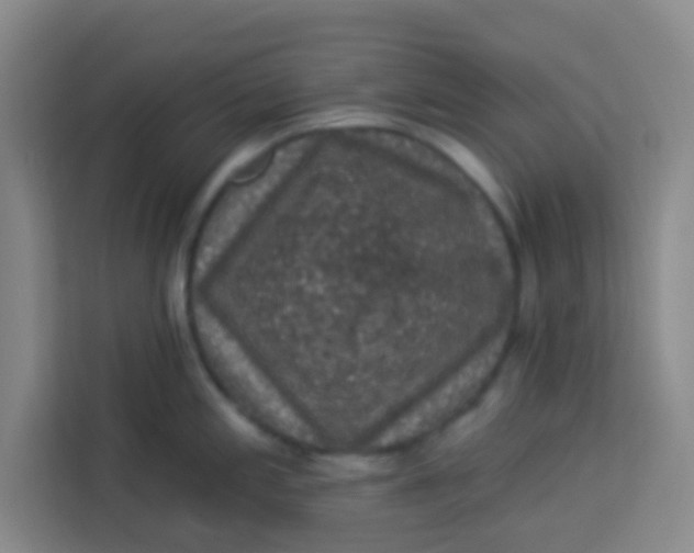 X0000113281197200910051034