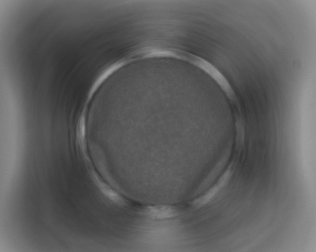 X0000113281198200910051034