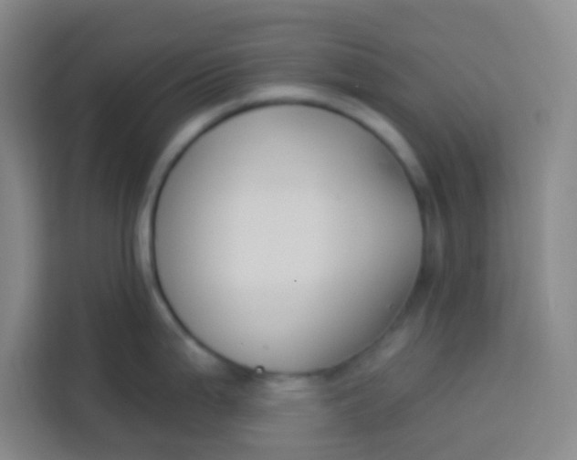 X0000113281199200910051034