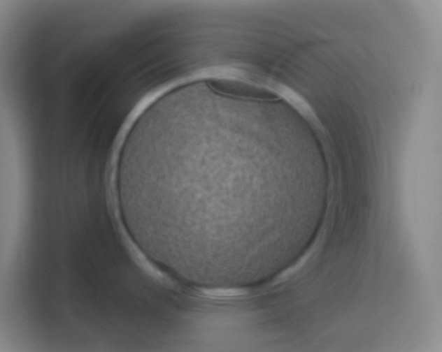 X0000113281200200910051034