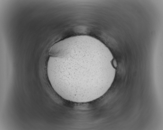 X0000113281201200910051033