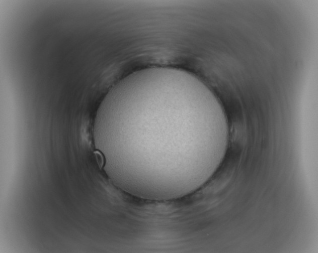 X0000113281202200910051033