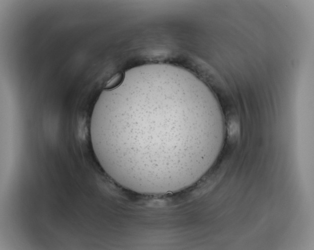 X0000113281204200910051033