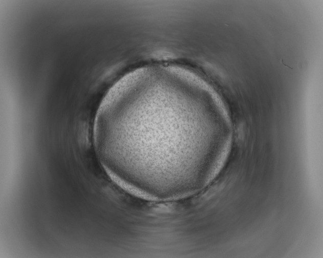 X0000113281205200910051033