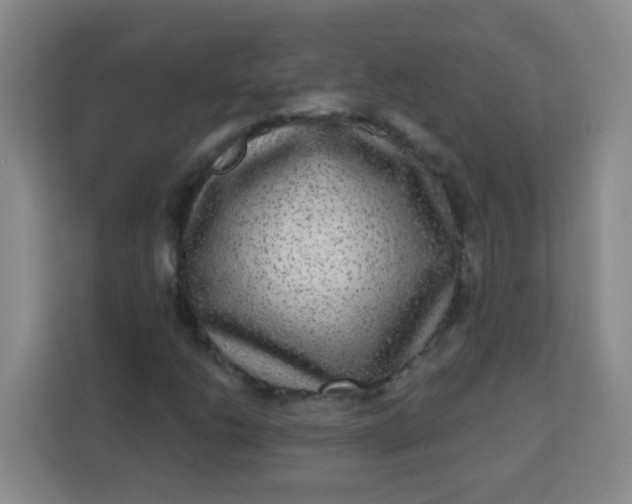 X0000113281206200910051033