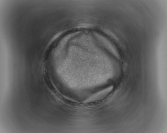 X0000113281208200910051033