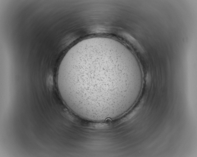 X0000113281209200910051033