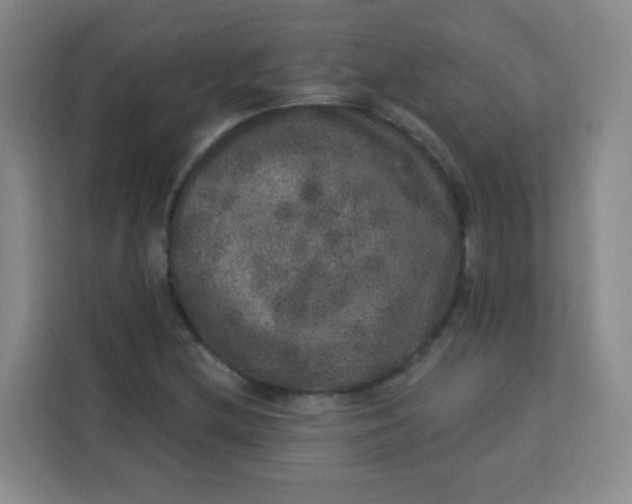 X0000113281212200910051033