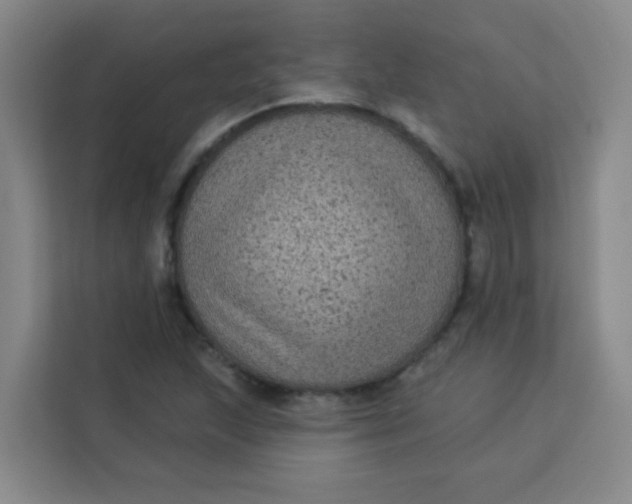 X0000113281215200910051034