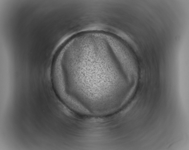 X0000113281216200910051034