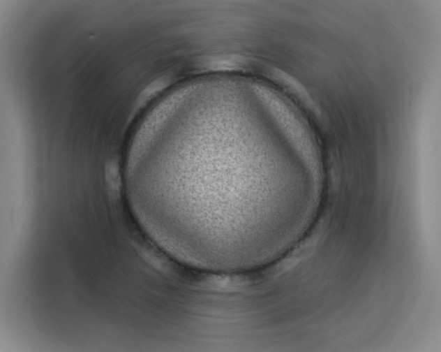 X0000113281218200910051034