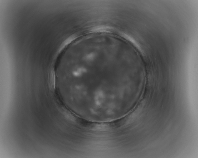 X0000113281219200910051034