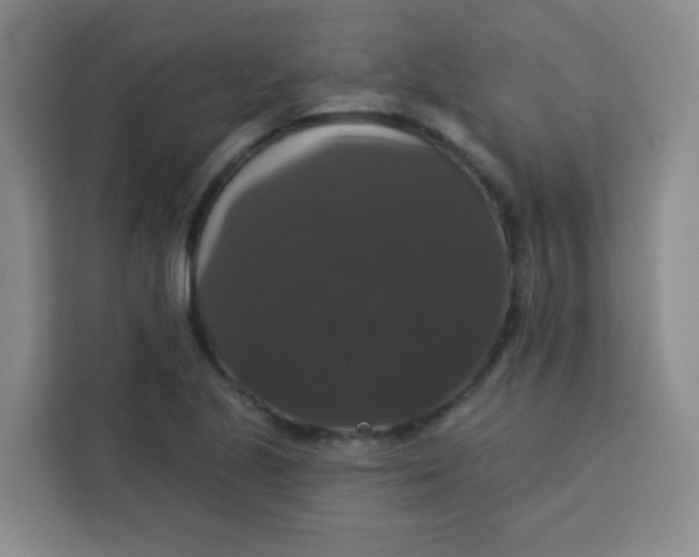 X0000113281221200910051034