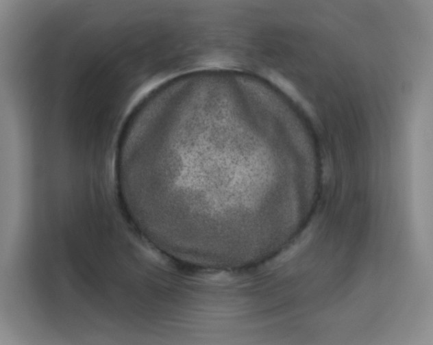 X0000113281222200910051034