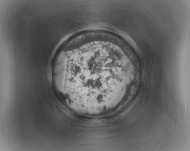 X0000113281224200910051034