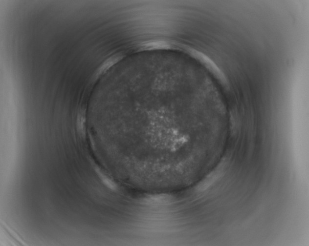 X0000113281225200910051034