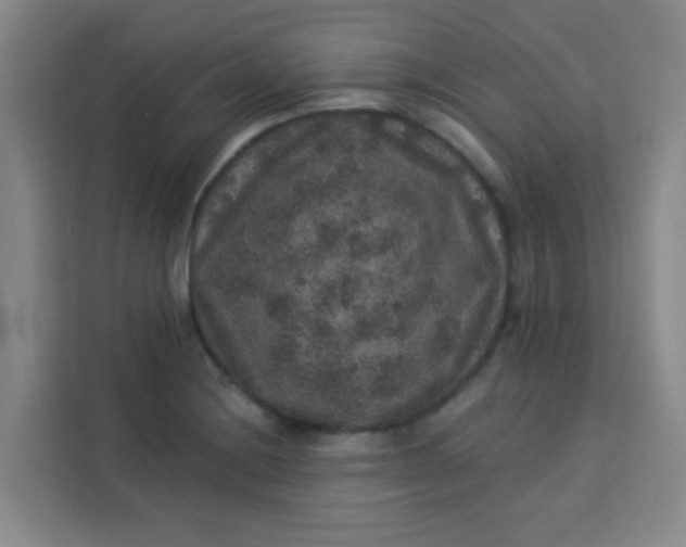 X0000113281228200910051034