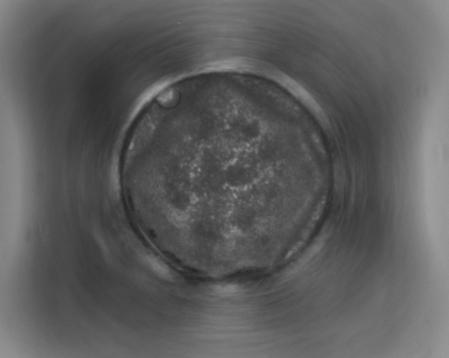 X0000113281230200910051034