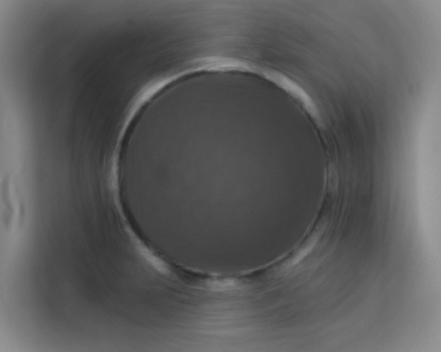 X0000113281231200910051034