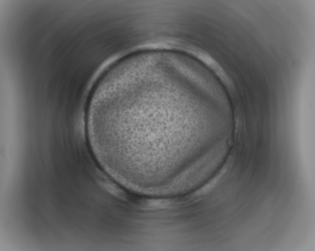 X0000113281232200910051034