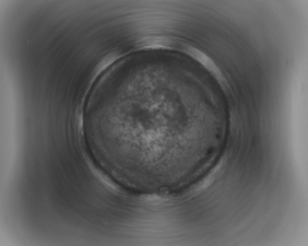 X0000113281234200910051034