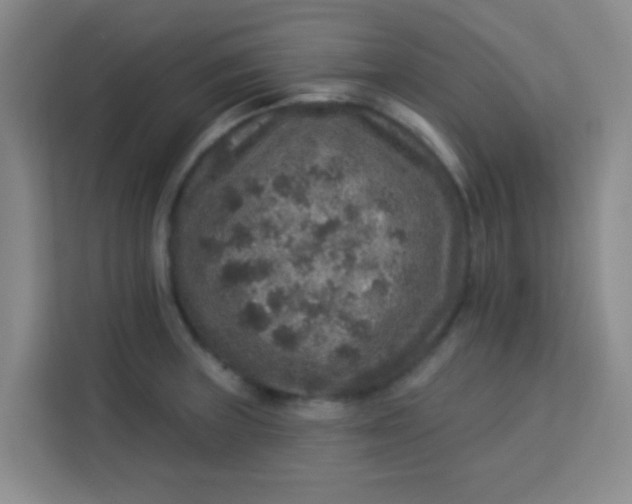 X0000113281235200910051034