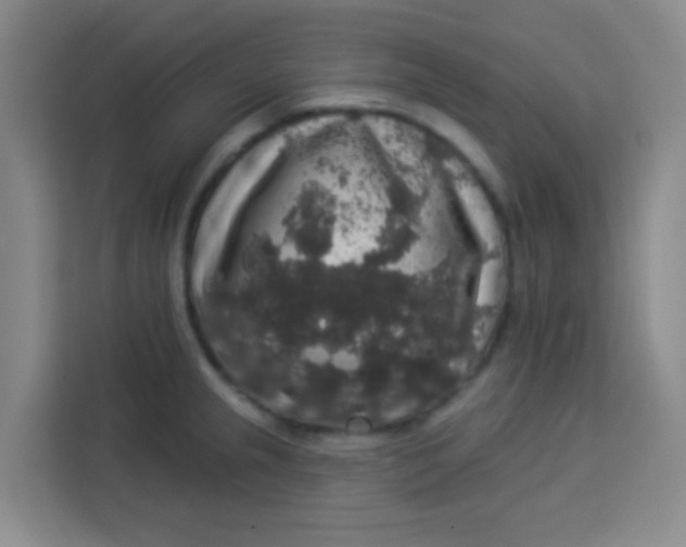 X0000113281237200910051034