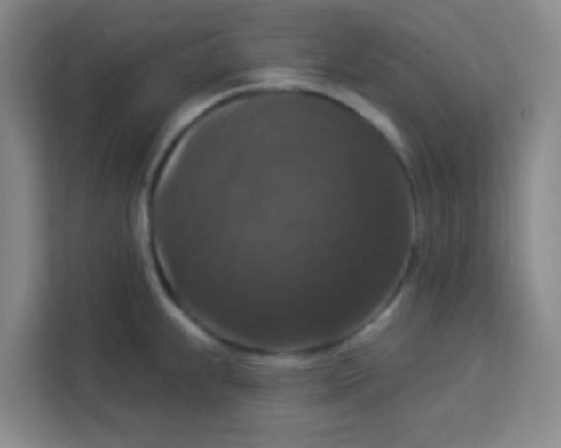 X0000113281239200910051034